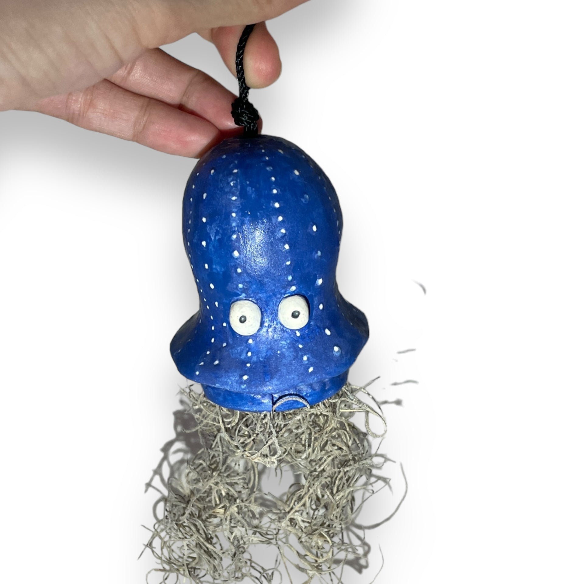 jellyfish plant pot Jelly Fish Air Plant Pot – Amanora Studio